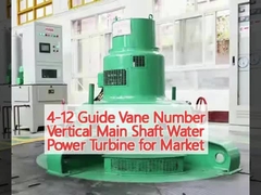 4-12 Guia Número de Vane Vertical Aço Principal Turbina de Energia Hidráulica para o mercado