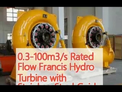 0.3-100 m3/s Fluxo nominal Turbina hidráulica Francis com válvula de guia de aço inoxidável e taxa de fluxo de entrada de 2 M3/s