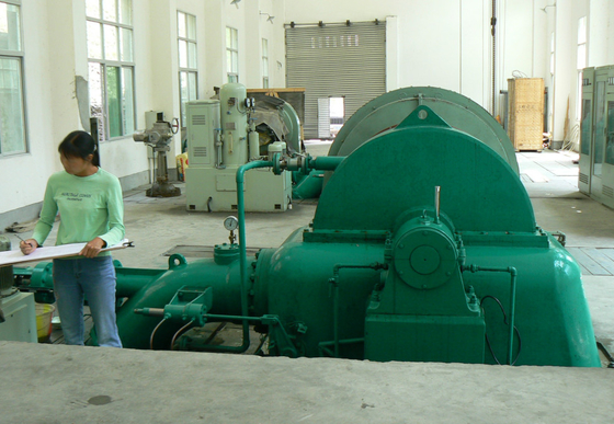 diâmetro vertical do corredor do gerador de turbina 0.6m da água de 500kw Pelton